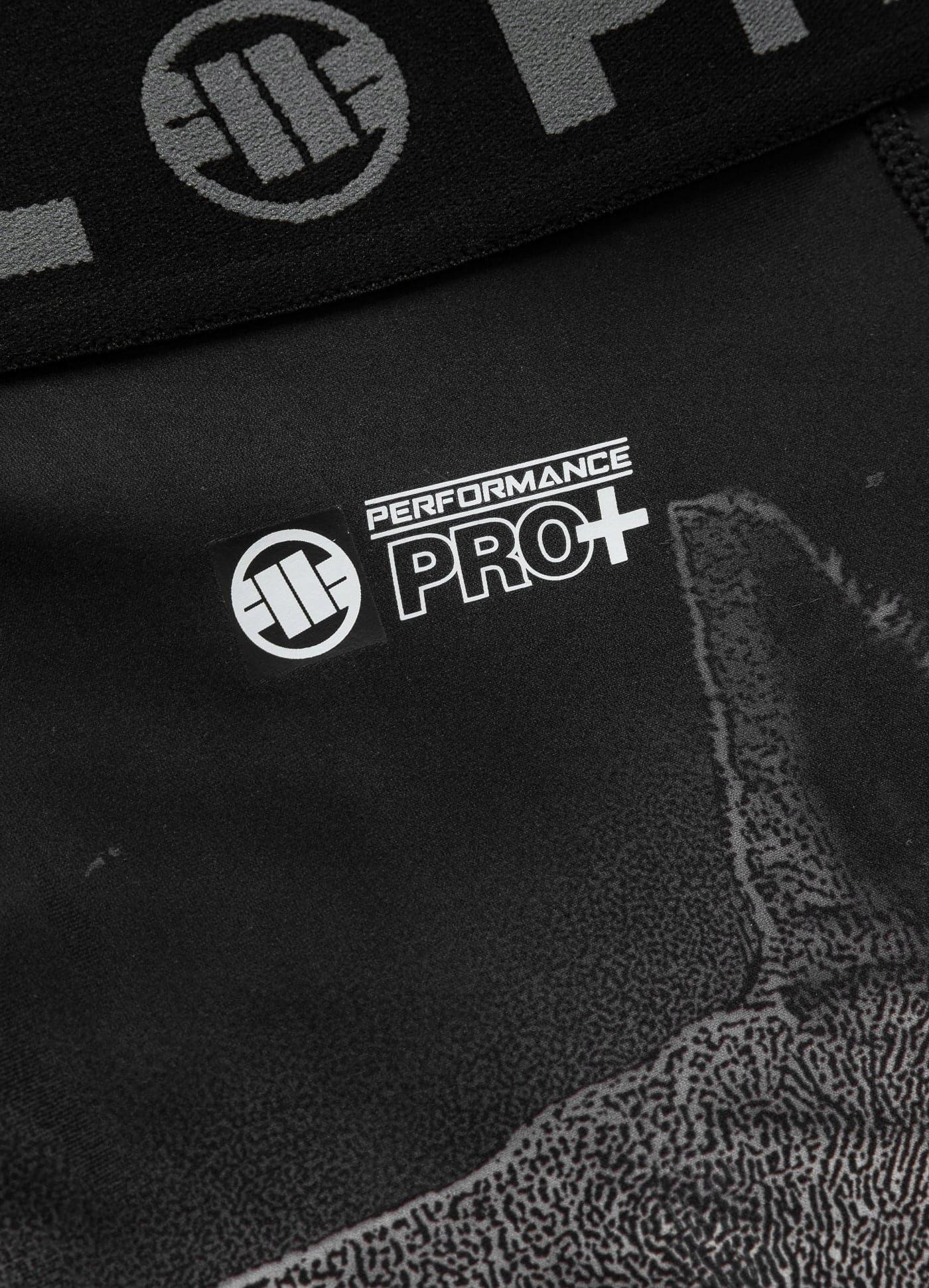 MĘSKIE LEGGINSY KOMPRESYJNE PIT BULL TRENINGOWE L Marka Pitbull