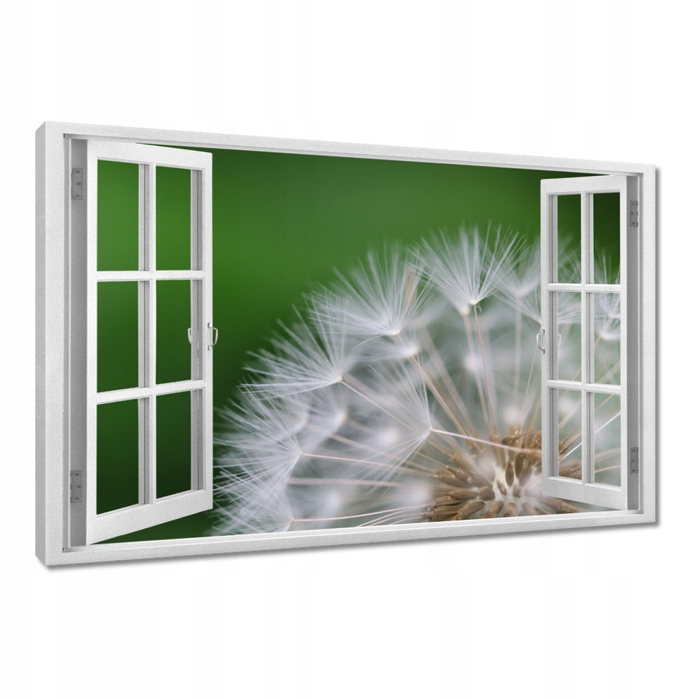 

Obrazy 120x80 Dmuchawiec Kwiat Kwiatki