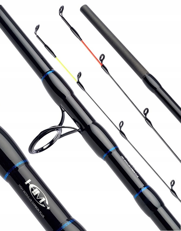Daiwa Wędka NZon Extension Feeder 305cm -40g