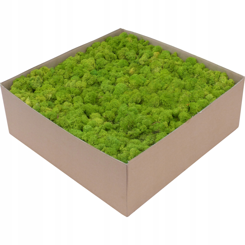 Mech Chrobotek Premium Lime Green Karton 6kg