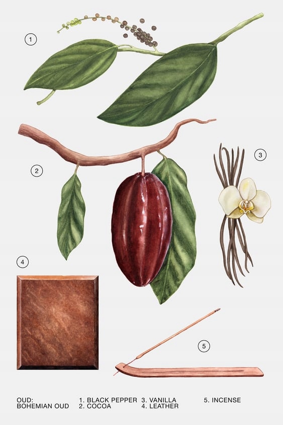 a581 PERFUMY DAMSKIE ZARA BOHEMIAN OUD 80 ML sensual Pojemność opakowania 80 ml