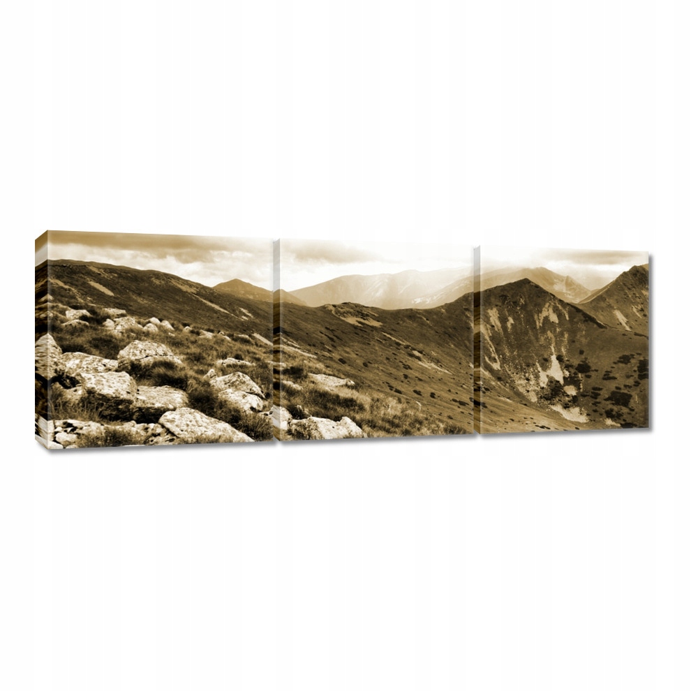 

Obrazy 60x20 Tatry Polskie góry Widok