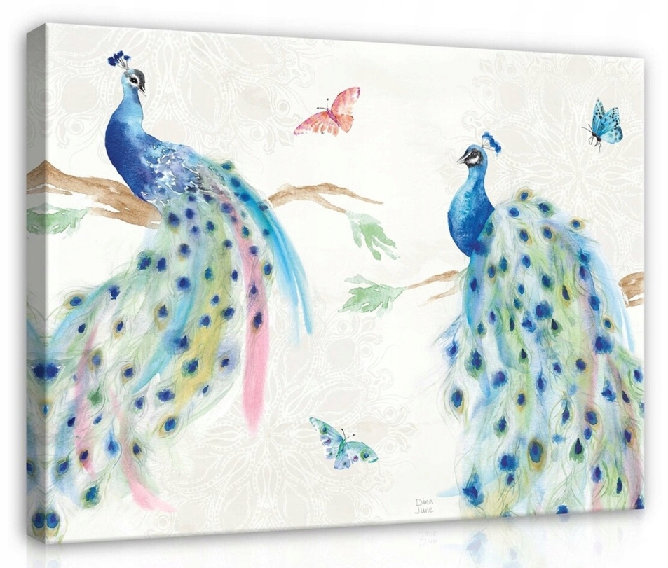 Obraz 100x75 Páv pávi ptáci příroda akvarel dekorace elegance krása