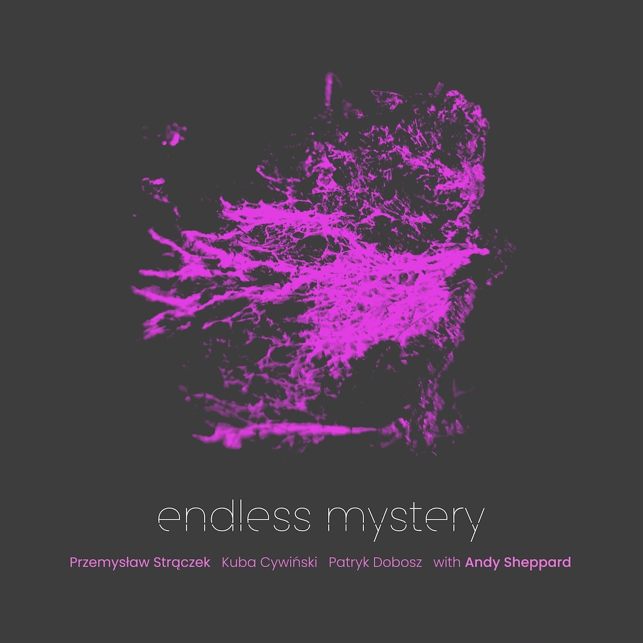Przemysław Strączek Endless Mystery *lp
