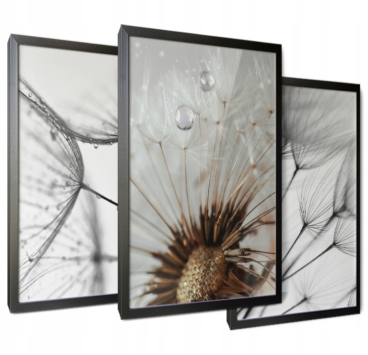 

Obrazy 3szt na ścianę do salonu sypialni 99x43