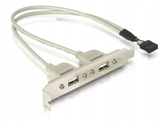 Przejściówka Delock 71000 0,3 m