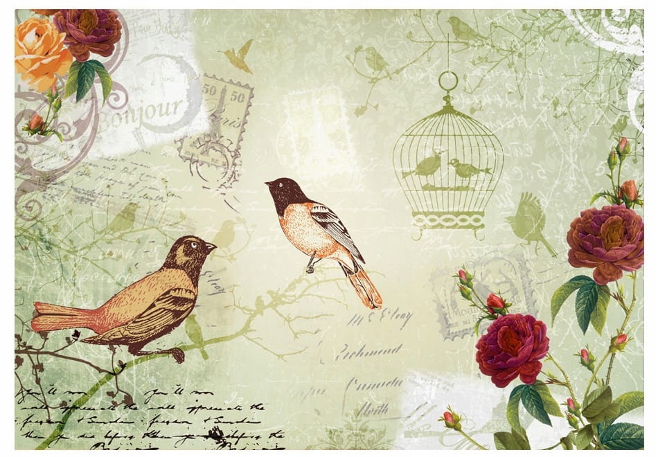 

Fototapeta - Vintage birds - 250X175