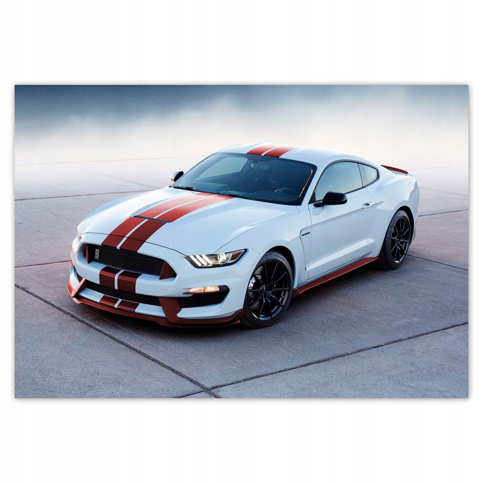 

Fototapety flizelina 368x254 Ford Mustang