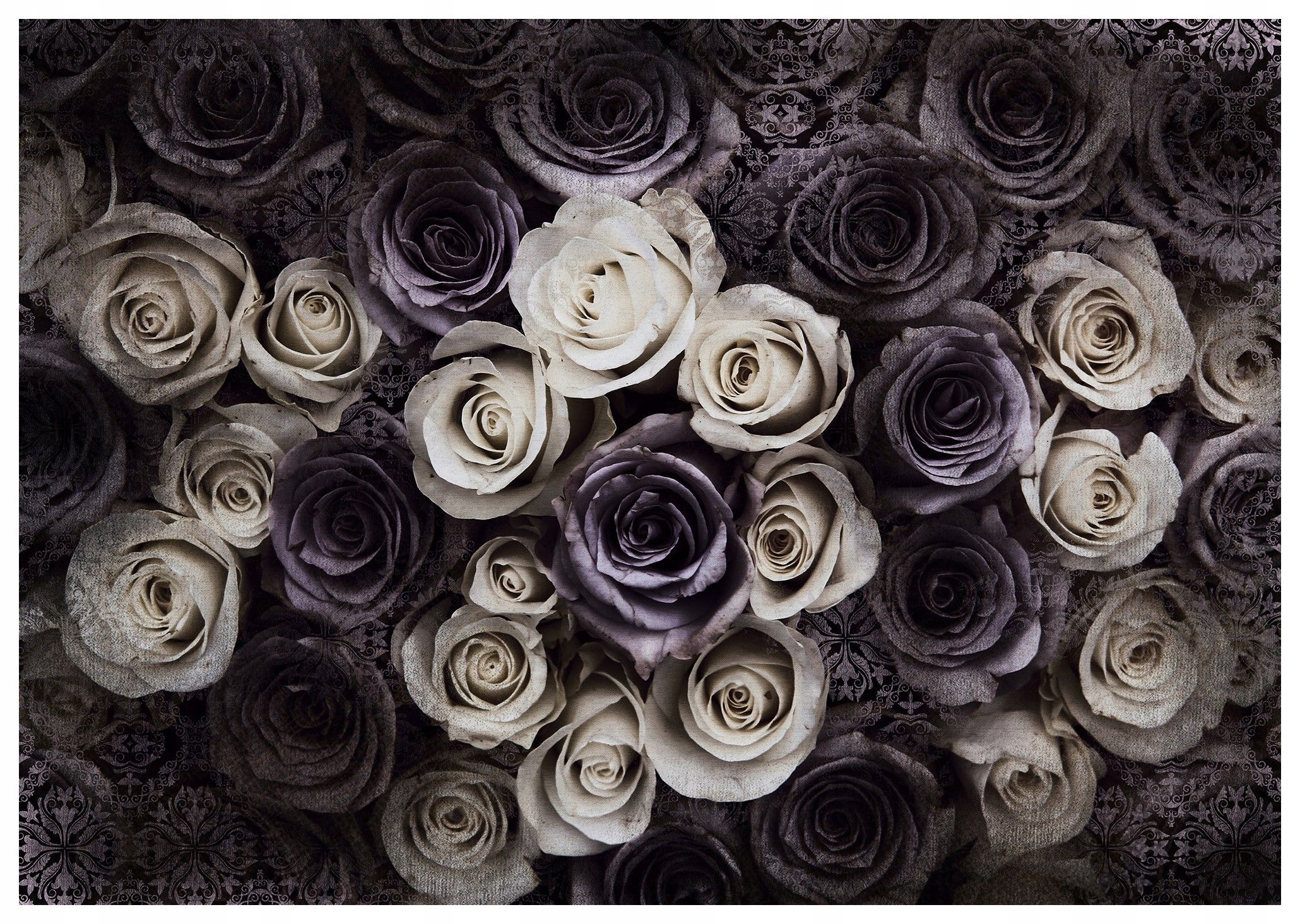 Fototapeta Růže Vintage Monochromatické Květiny vinylová 254x184 lepidlo