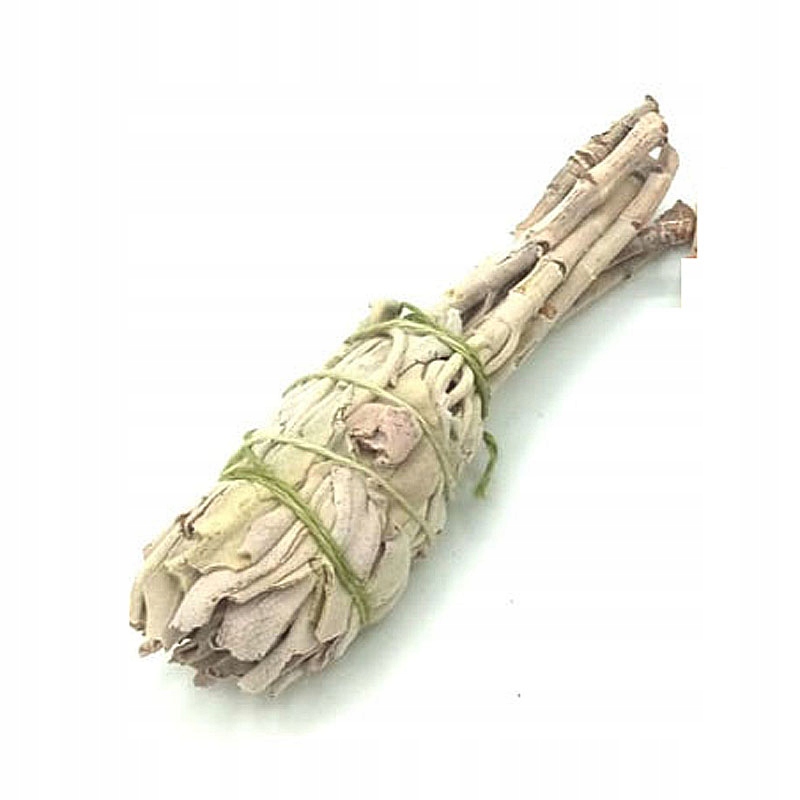 

Biała szałwia mały pęczek ok 10-15g, oczyszczanie