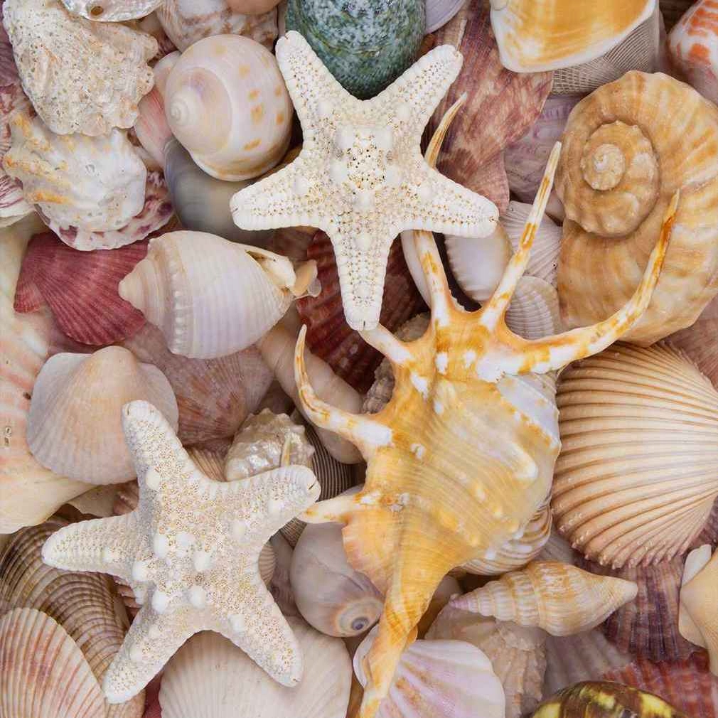 

Ogromny Ręcznik Plażowy 3D Duży Muszelki Plaża K6
