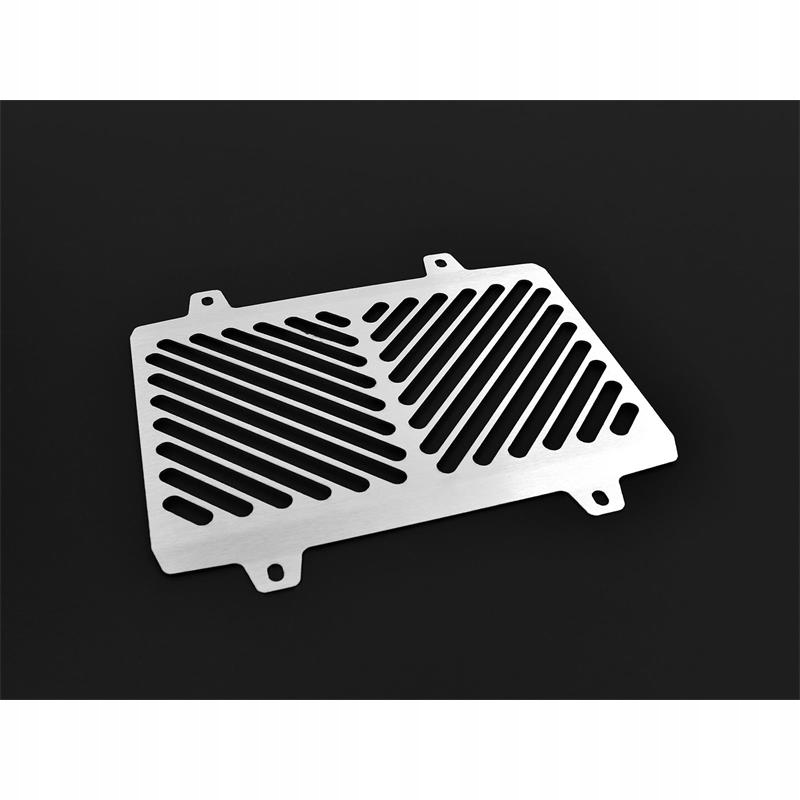 10004356 - РЕШІТКА РАДІАТОРА ZIEGER BMW G 310 R 2017-2019