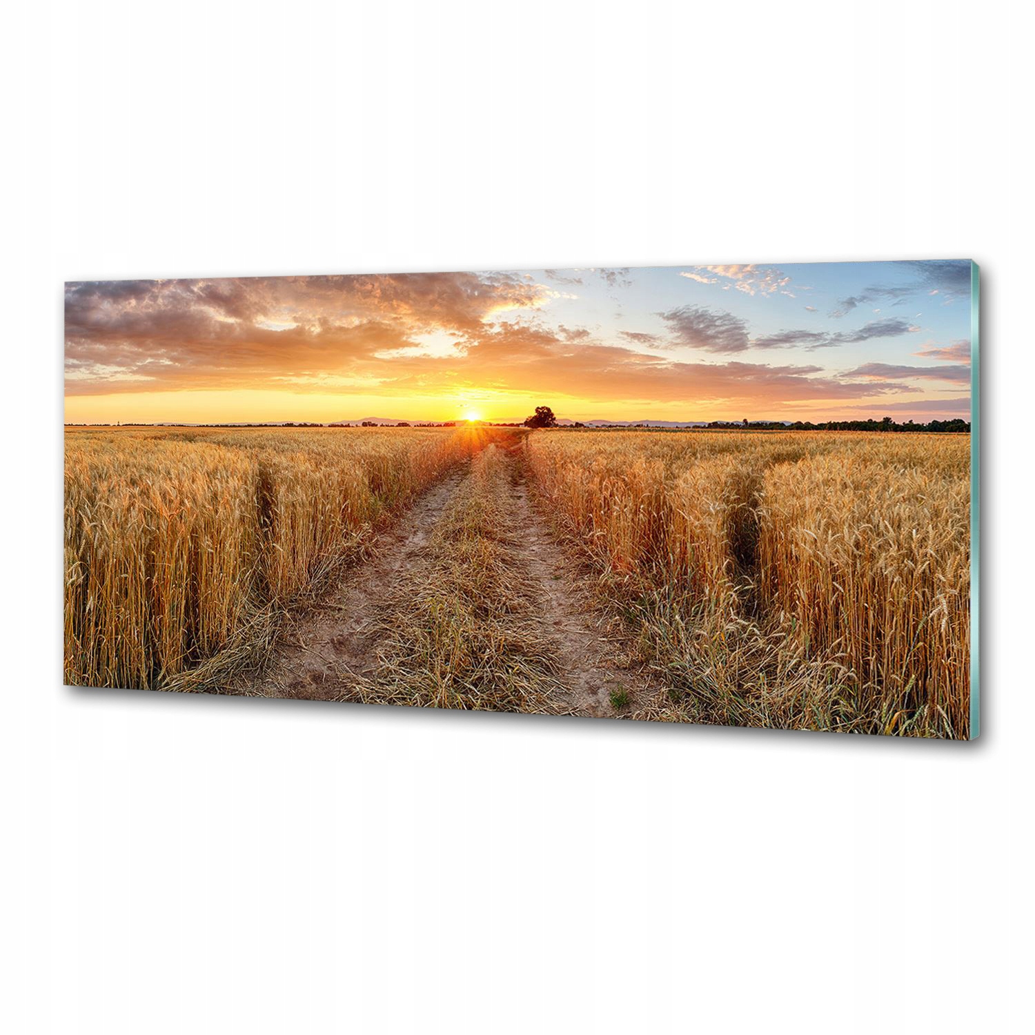 Panel do kuchyně Pšeničné pole 125 x 50 cm Lepidlo