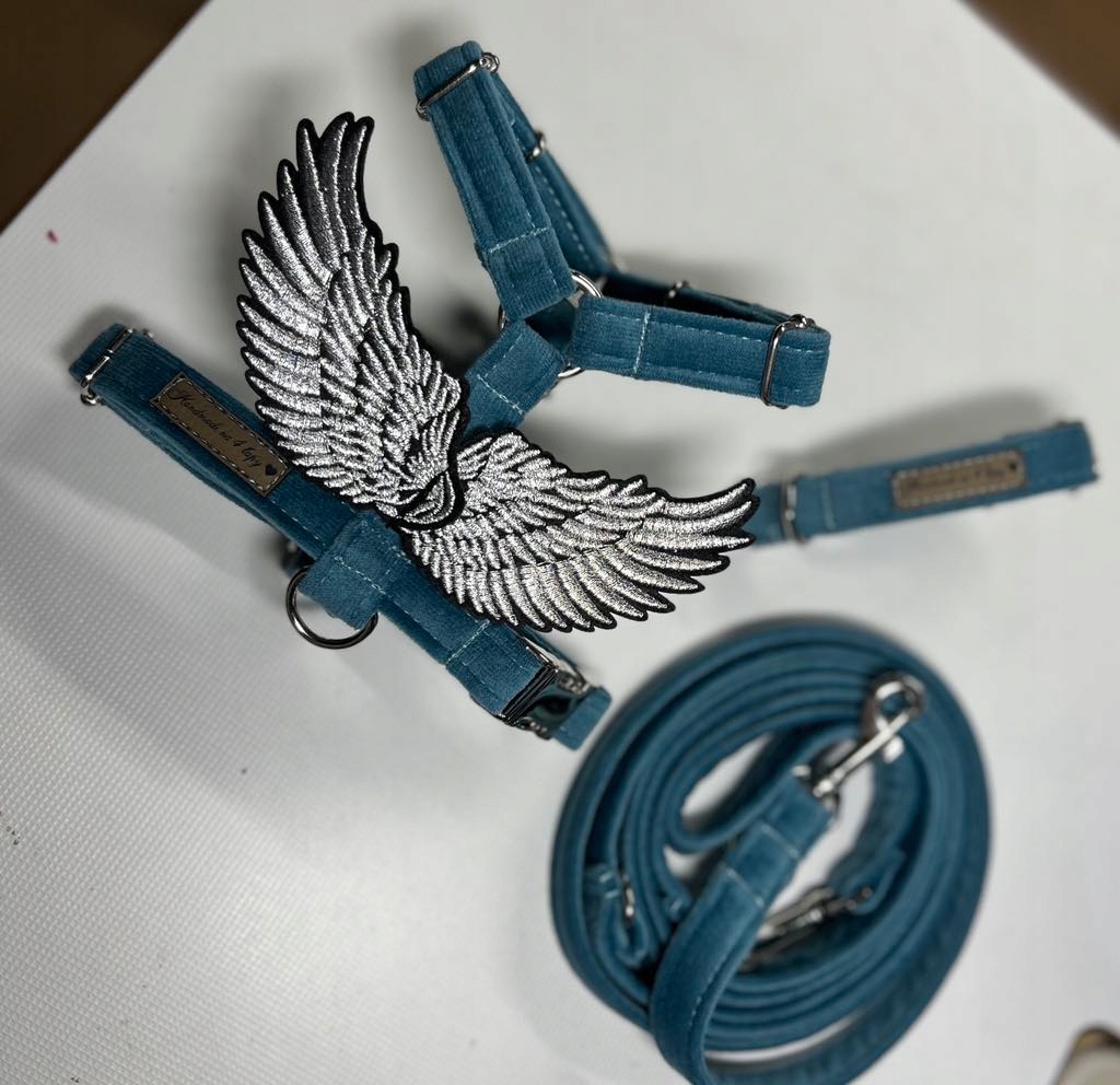 Levně postroj quard pro psa obojek vodítko sada