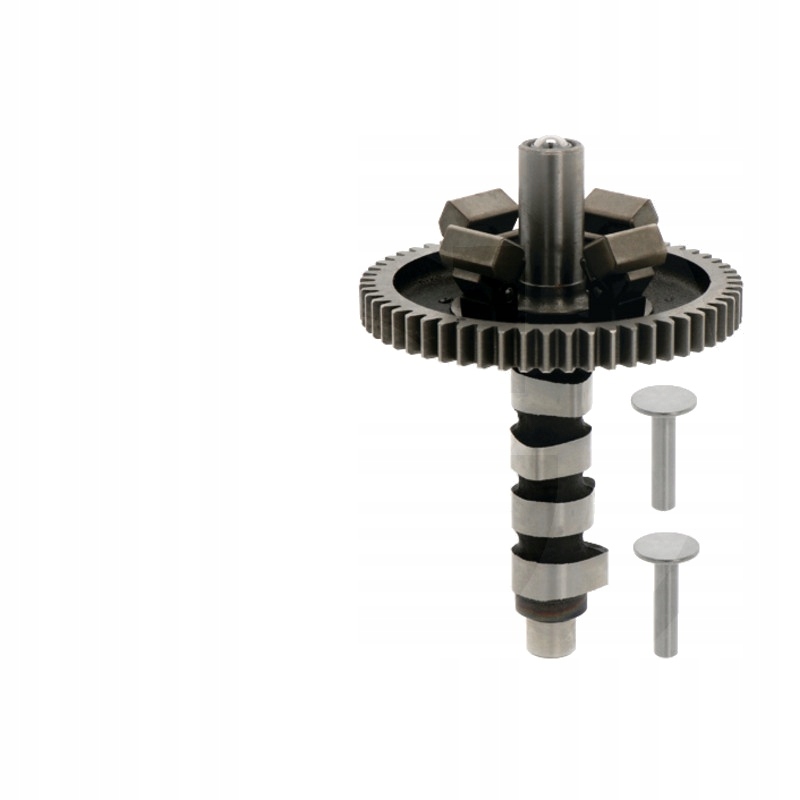 Wałek krzywkowy Briggs & Stratton 290400-359700