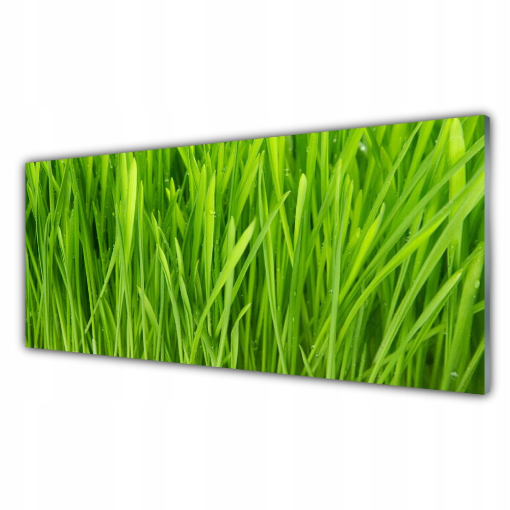 

Obraz akryl z grafiką 125x50 Trawa Roślina Natura