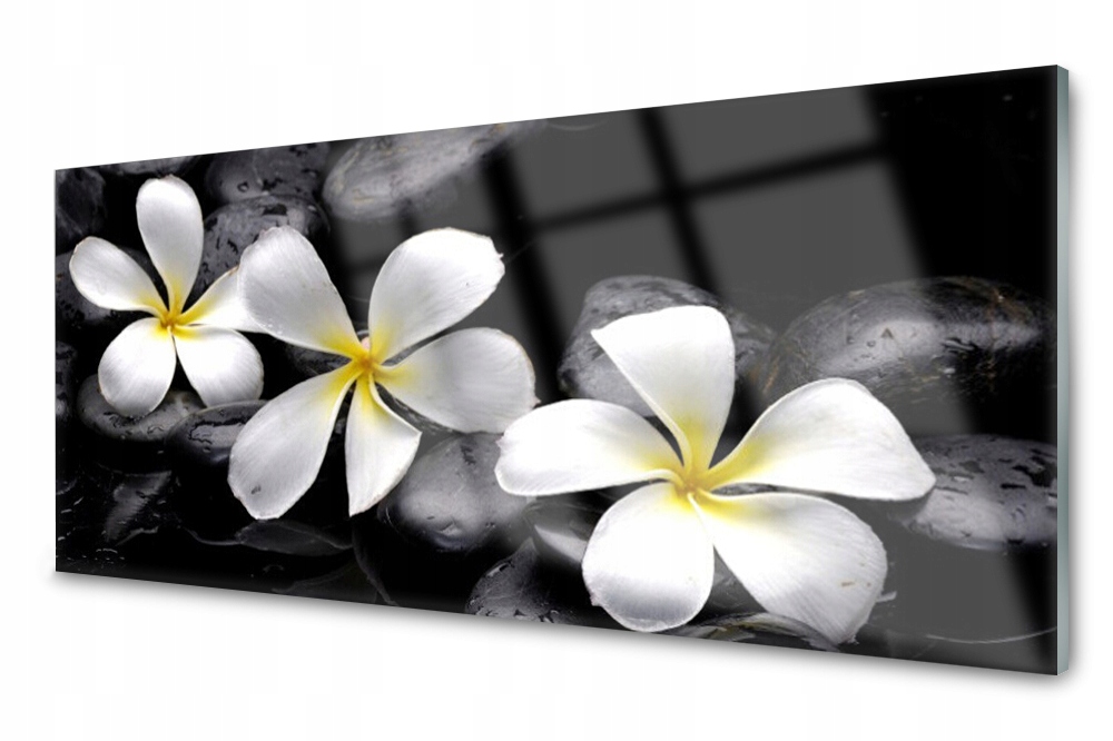 Obraz na skle Kvet Plumeria Rastlina Foto 125x50