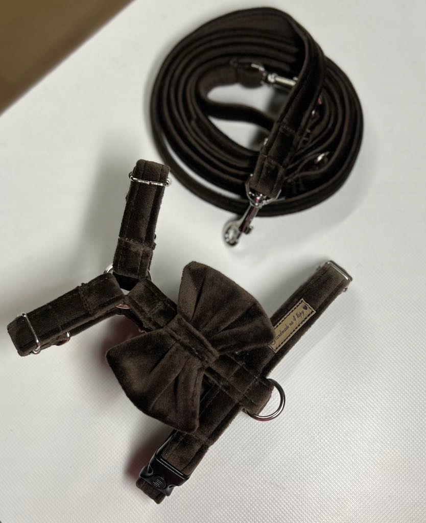 Levně Velurové obojky s mašličkou typu quard pro psa a vodítko, přepínací, 200 cm