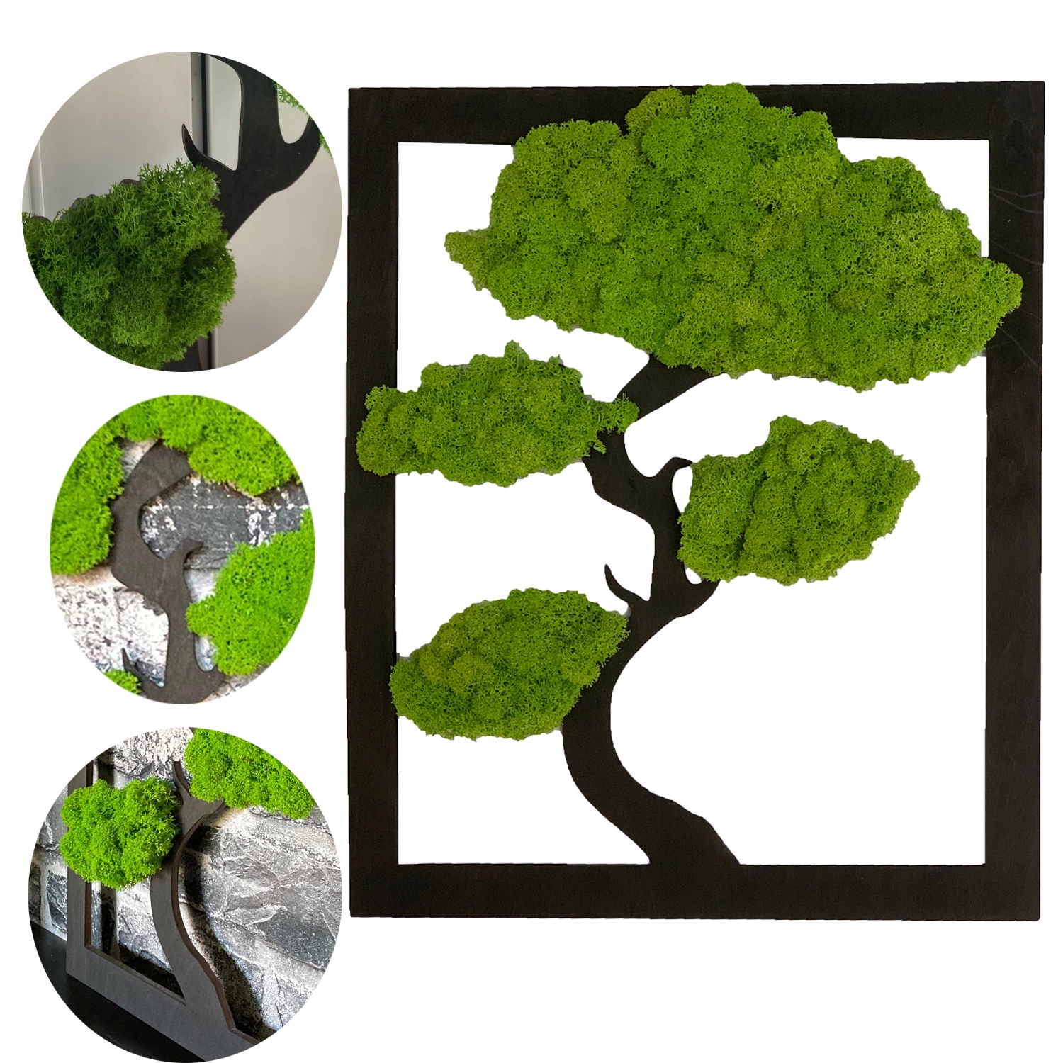 

Żywy Obraz Drzewko Mech Chrobotek Bonsai