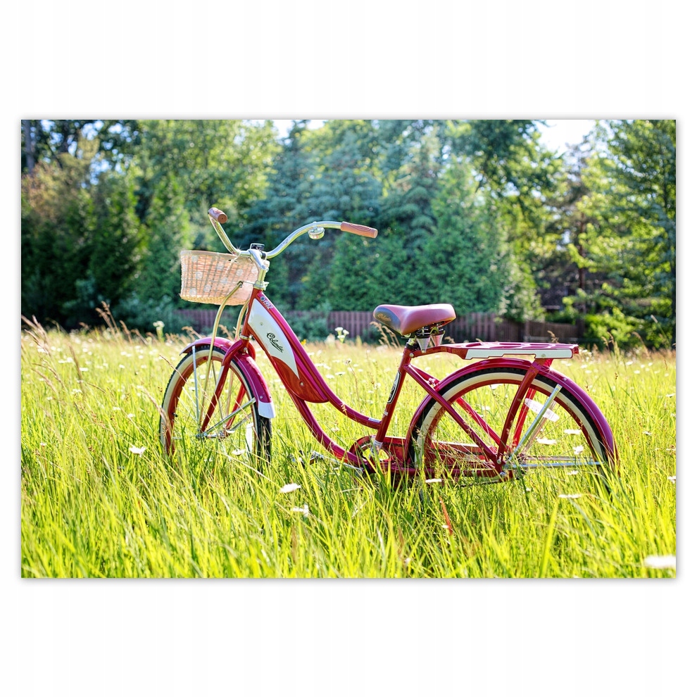 

Naklejki 100x70 Rowery Rowerki