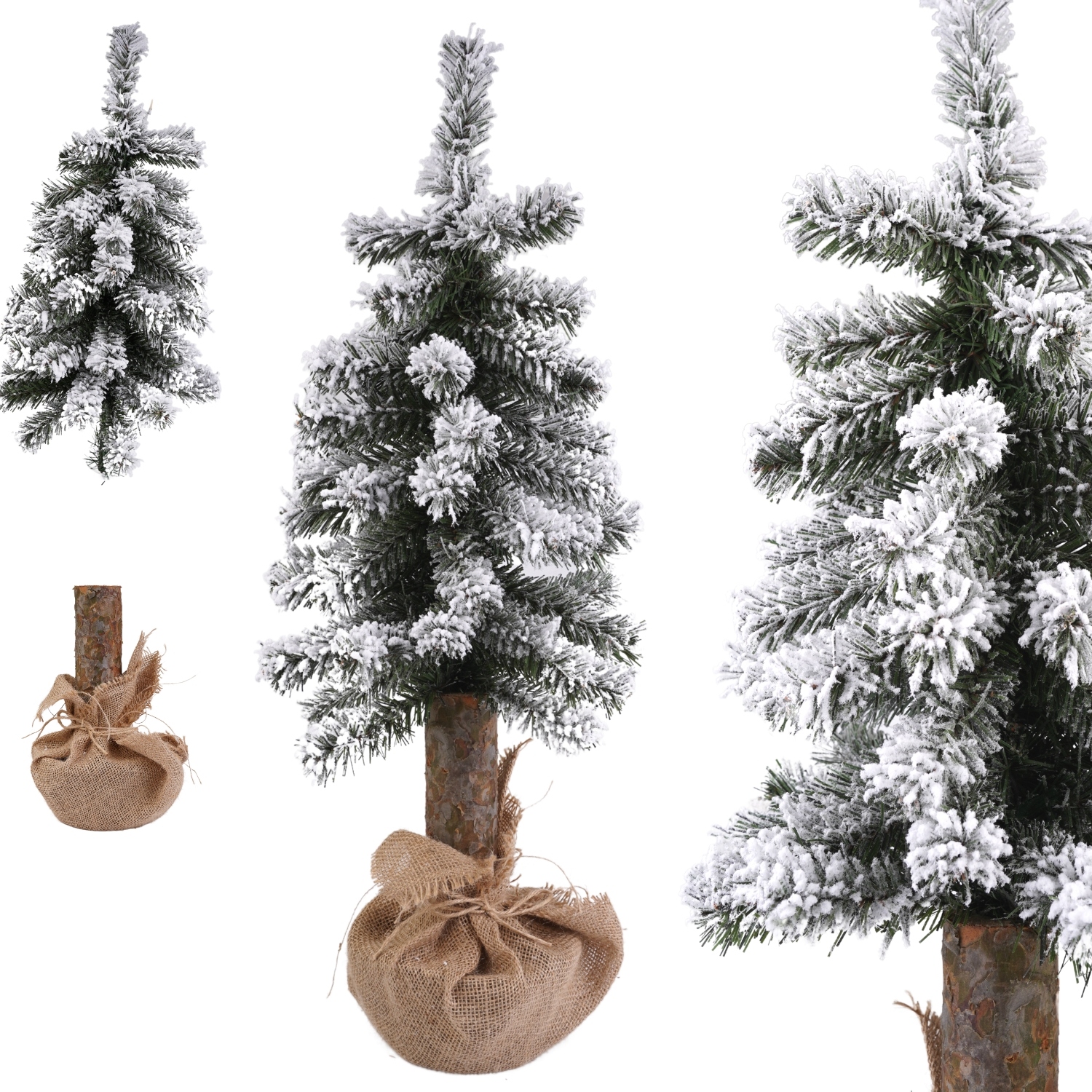 

Choinka Sosna Gęsta 70cm Na Pniu Gęsta Stroik
