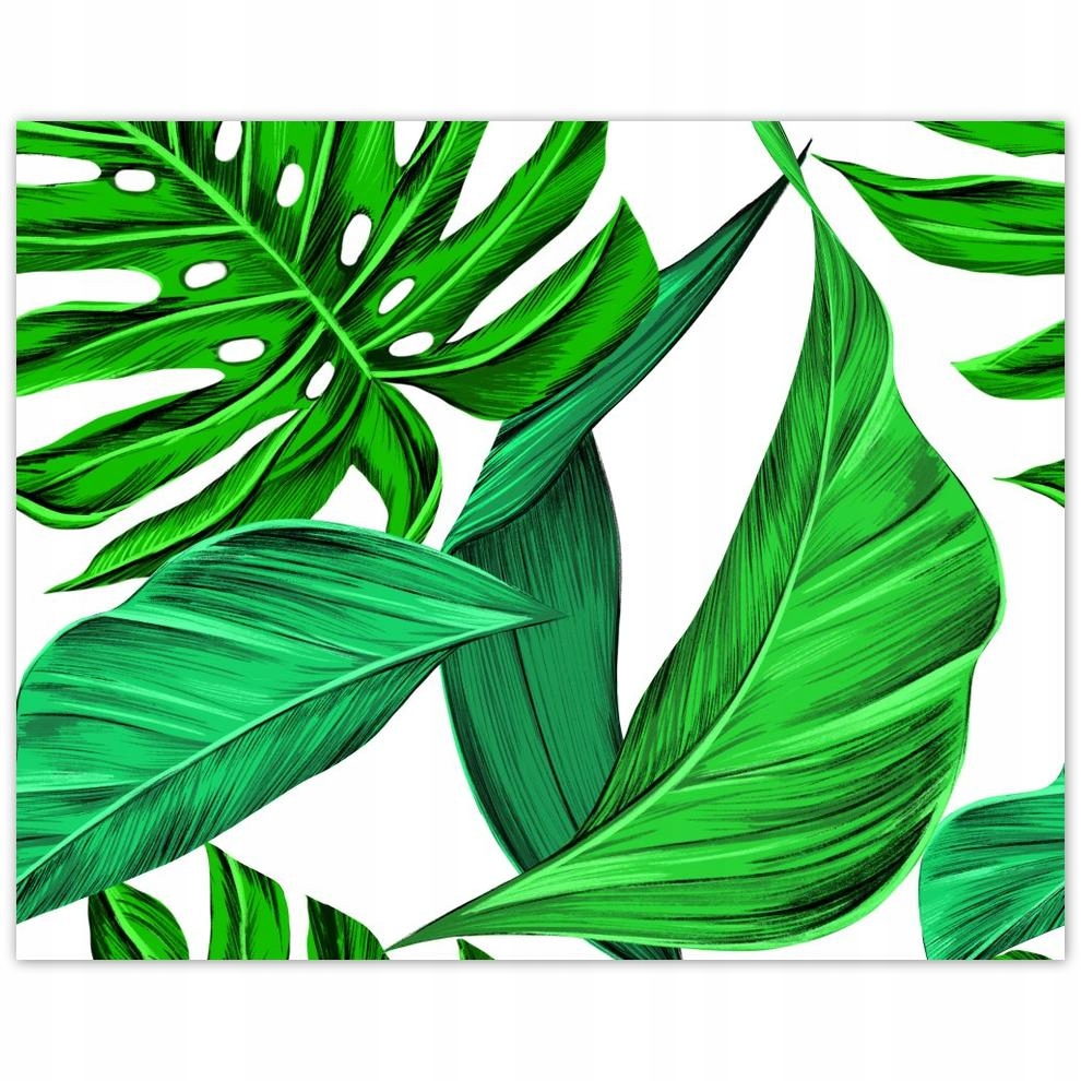 

Plakat 50x40 Soczysta Monstera Tropiki