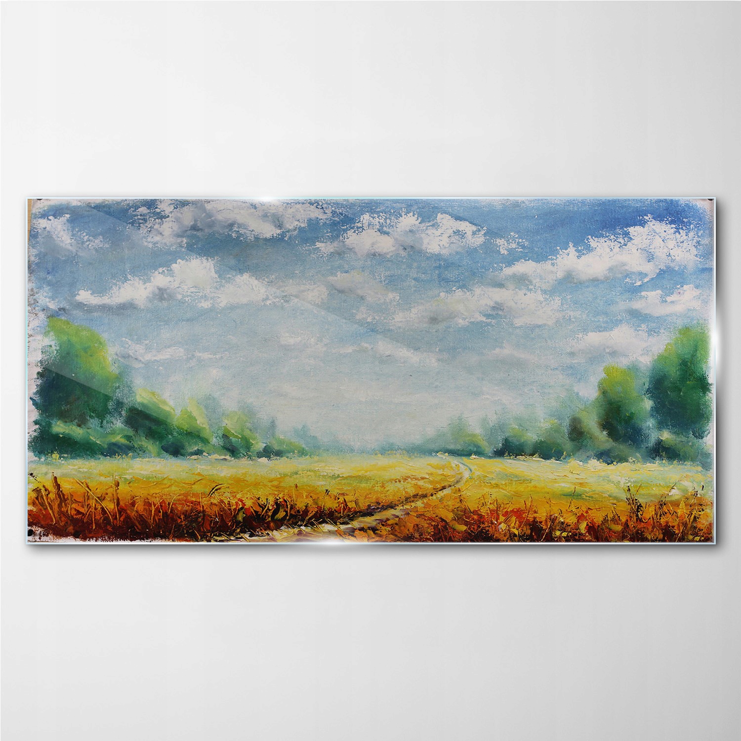 

Foto-obraz szklany Łąka las niebo natura 100x50 cm