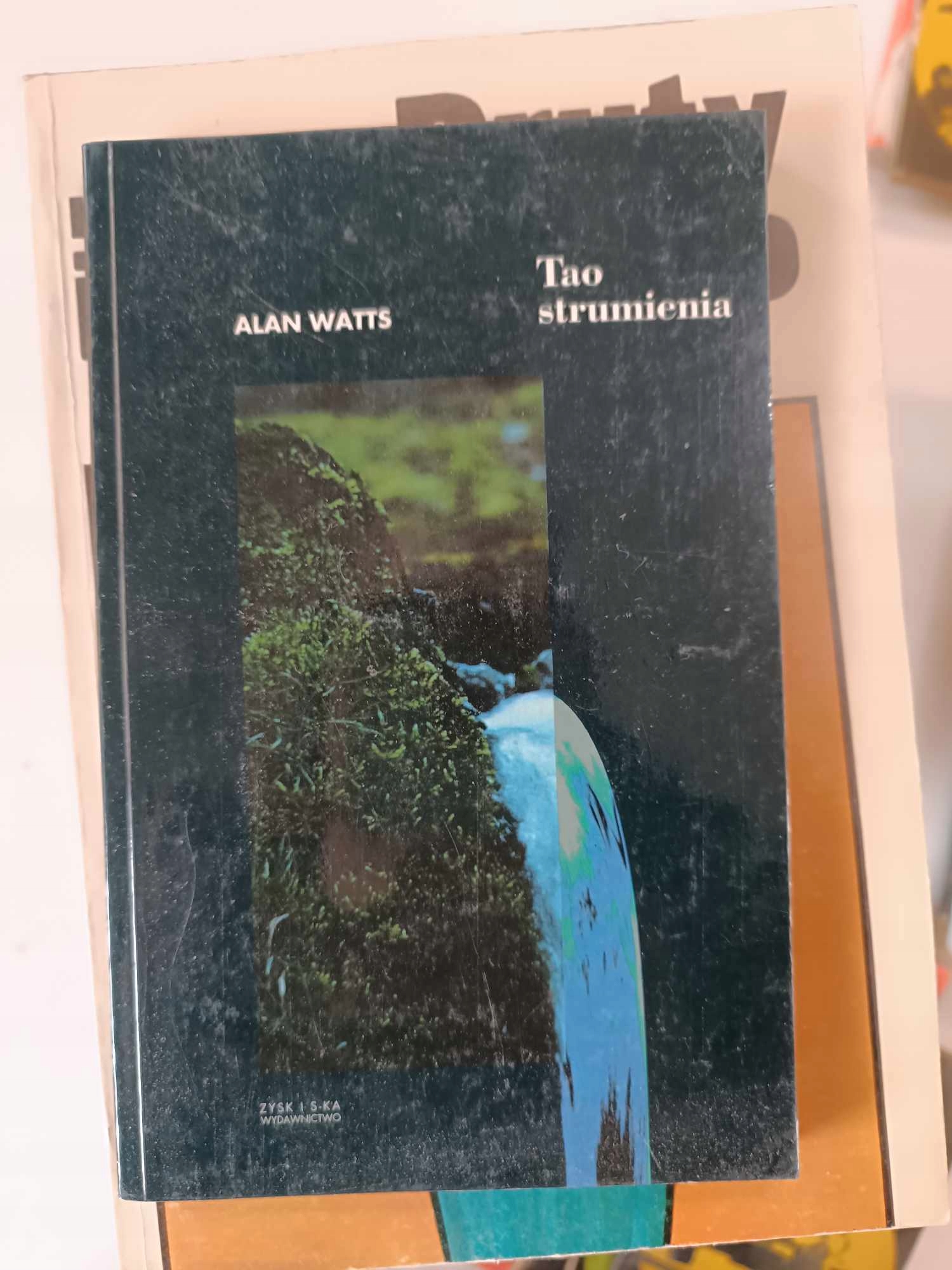TAO STRUMIENIA Watts