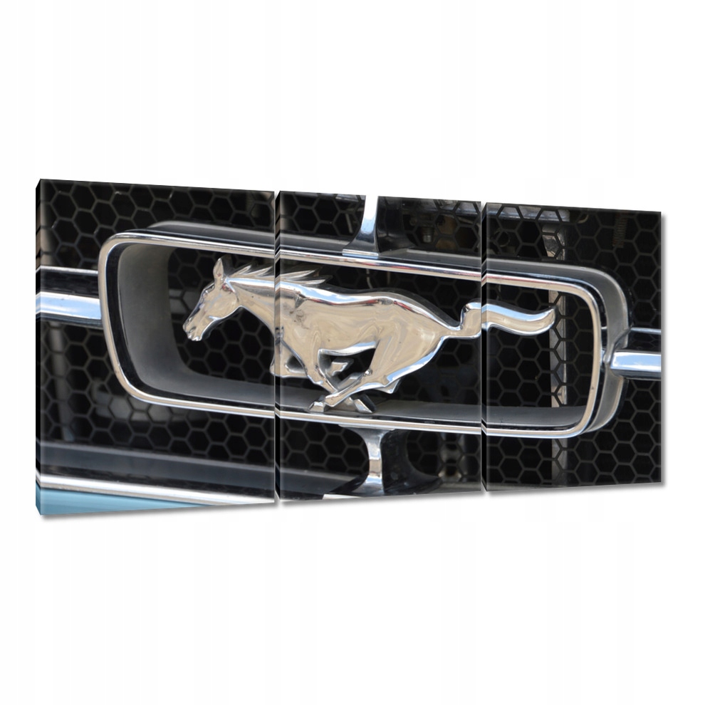 

Obrazy 240x120 Ford Mustang Samochód Usa