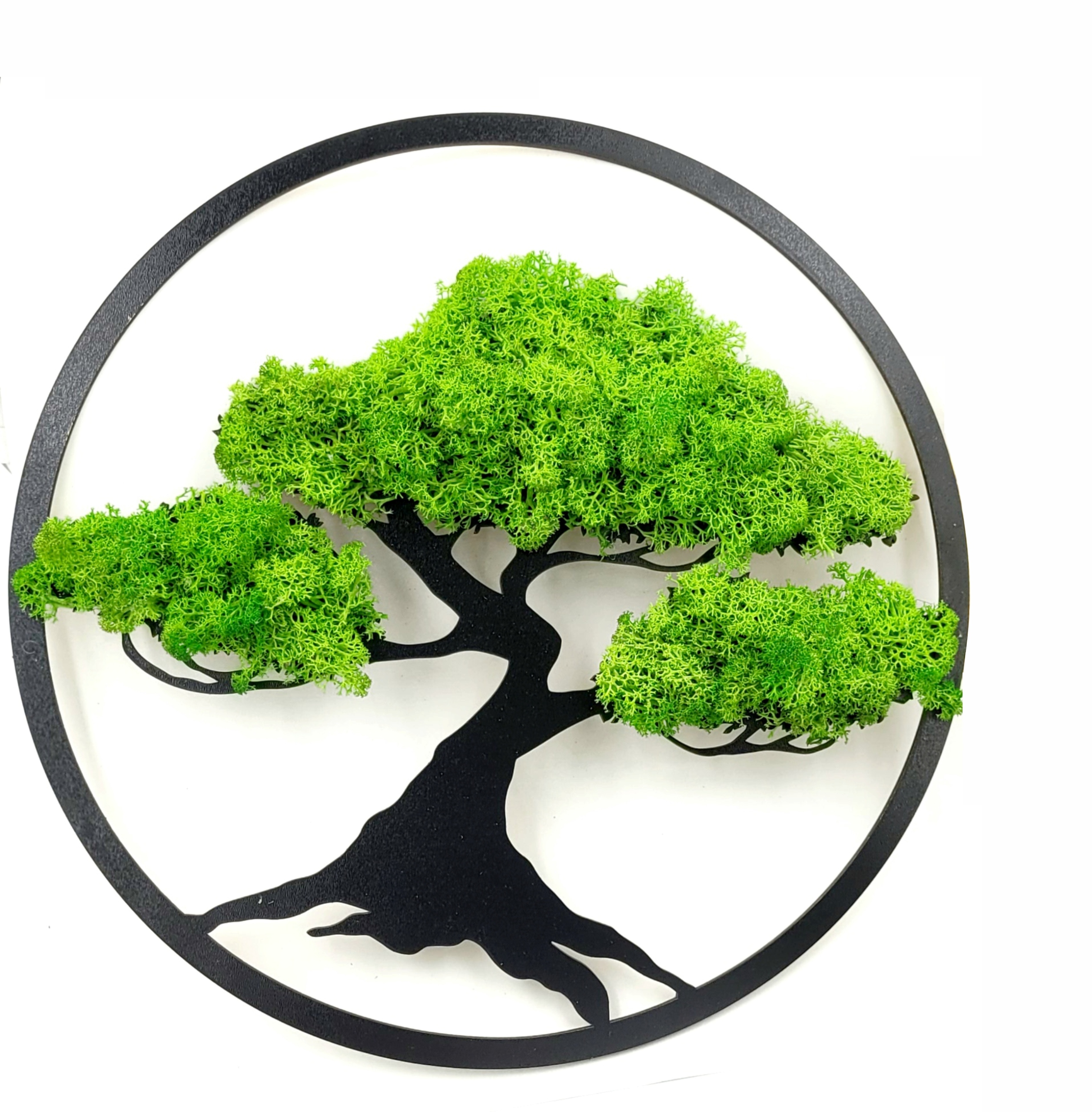 

Żywy Obraz Drzewko Szczęścia Życia Mech Bonsai