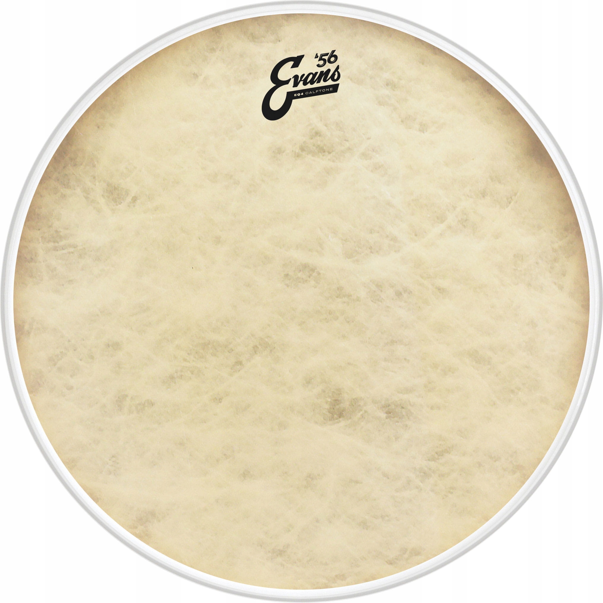 Evans EQ4 Calftone Bass 20"