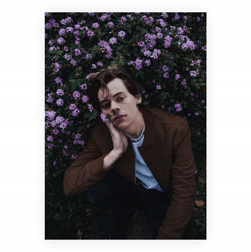 

Plakat Harry Styles Mood A4