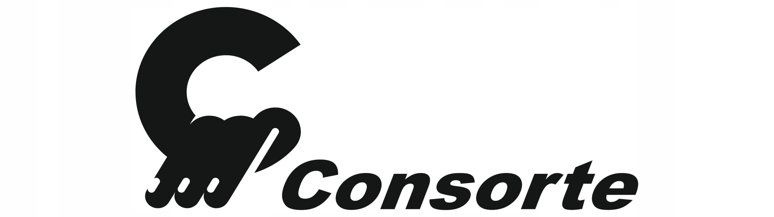 Klucz płaski PŁASKO OCZKOWY Z GRZECHOTKĄ CONSORTE - WYSOKA JAKOŚĆ CRV r. 23 Rodzaj klucza płasko-oczkowy