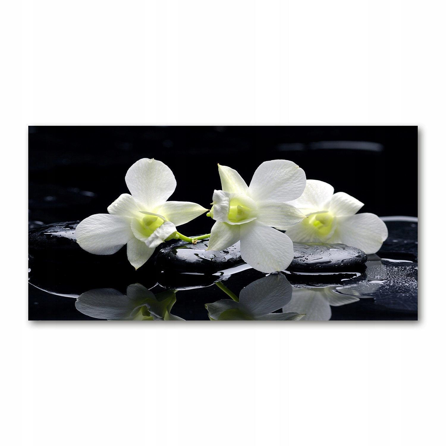 

Foto obraz szkło hartowane Orchidea 140x70