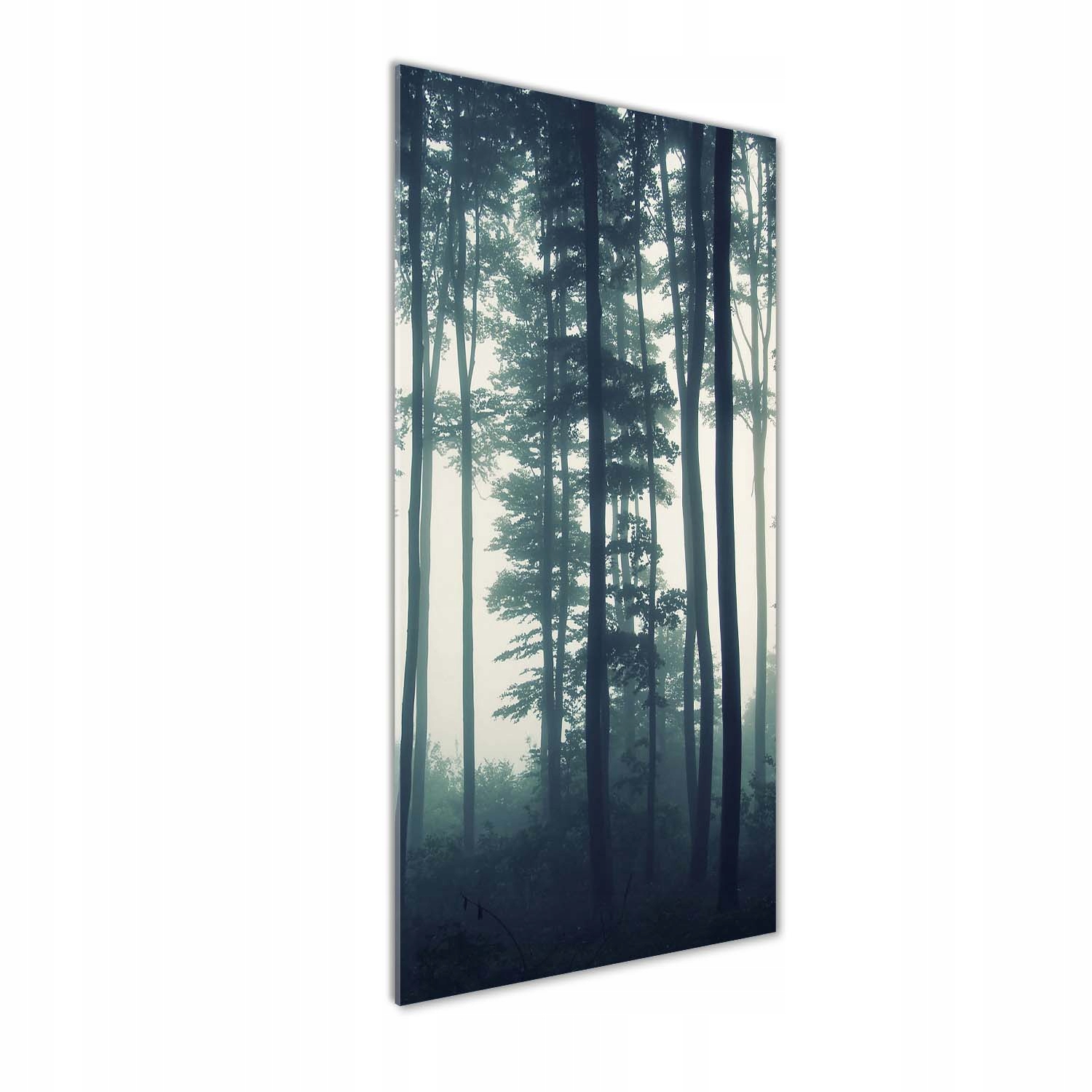 

Foto obraz szkło hartowane Mgła w lesie 50x125 cm