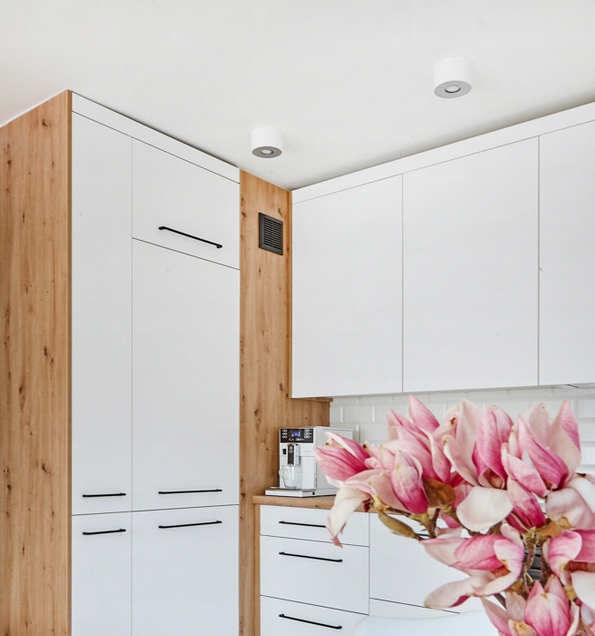 ŻYRANDOL LAMPA SUFITOWA POINT TUBA HALOGEN OCZKO PLAFON LAMPY ŻYRANDOLE LED Rodzaj spot