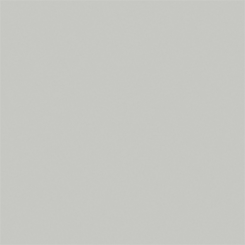 Краска серый лак серый RAL 7035 10L Германия