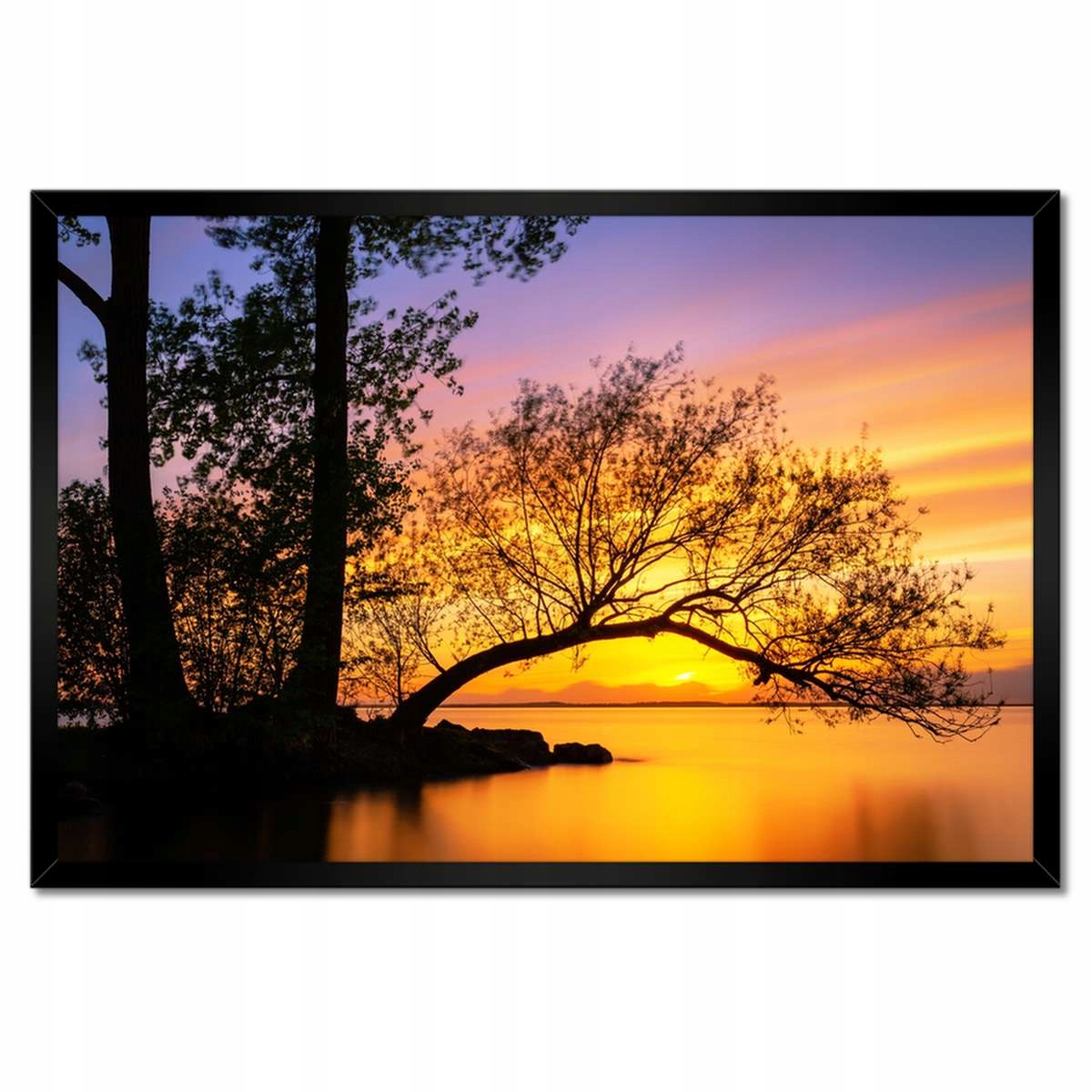 Plakáty v rámu 60x40 Stromy Západ slunce