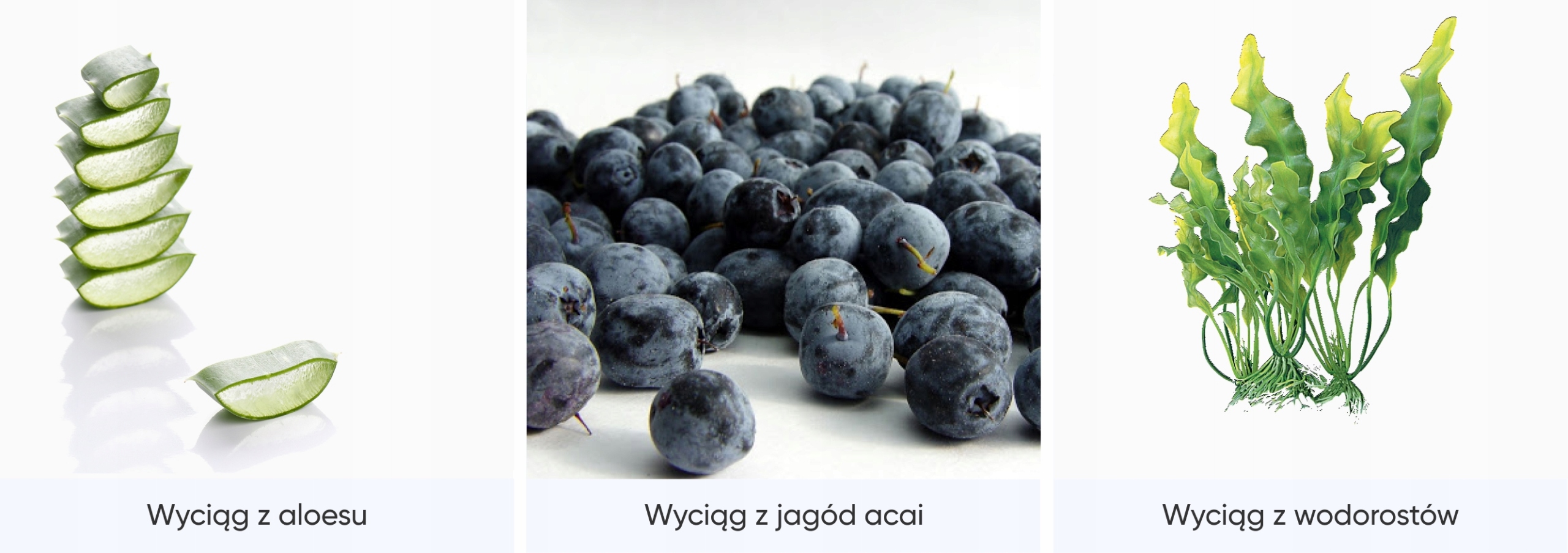 Regenerująca maska algowa Zemits Q-Refresh Marka ZEMITS