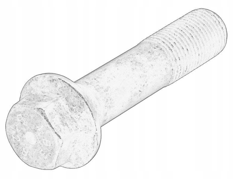 Śruba koła zębatego wału korbowego FIAT 55221689