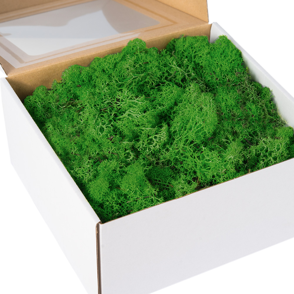 

Mech Ozdobny Naturalny Chrobotek Ciem Zielony 200g