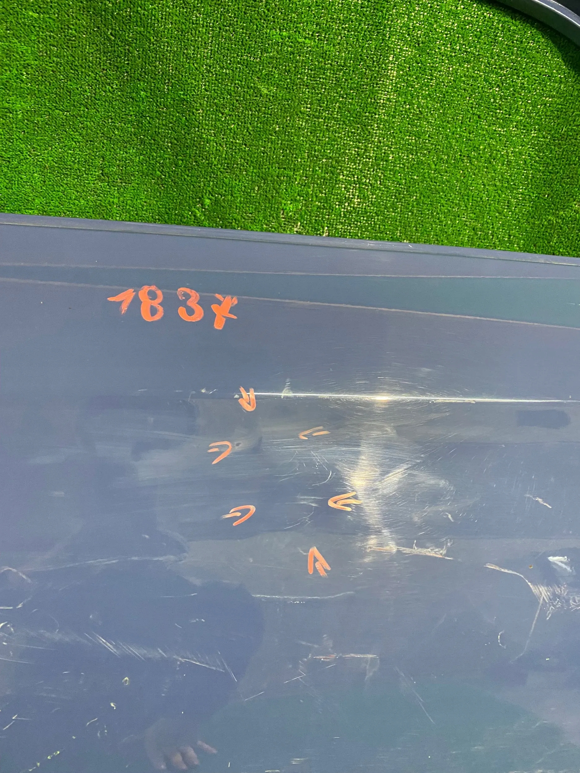 door rear. left HYUNDAI I20 II 14-20 ACTIVE
