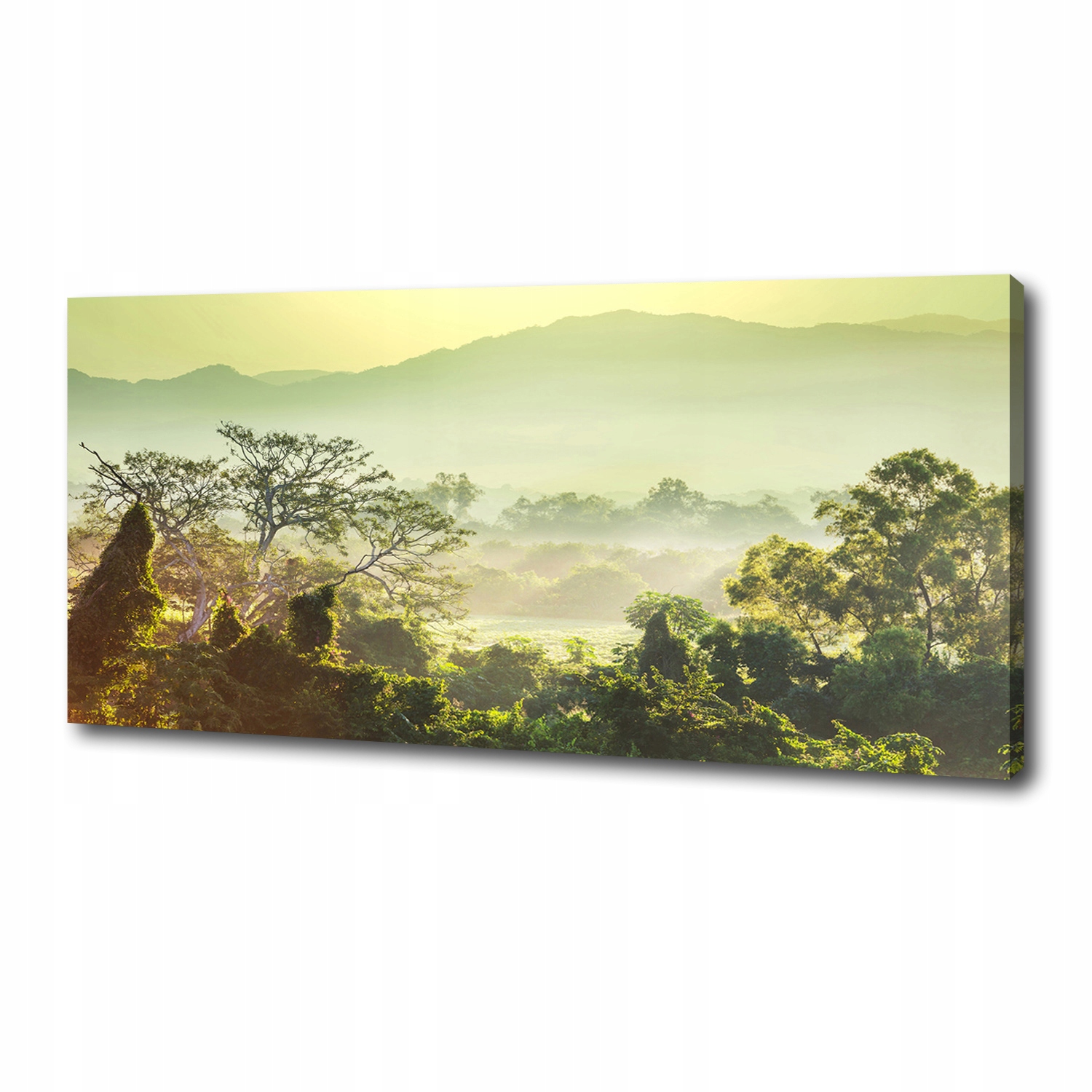 

Foto obraz canvas na ścianę Dżungla 125x50 cm
