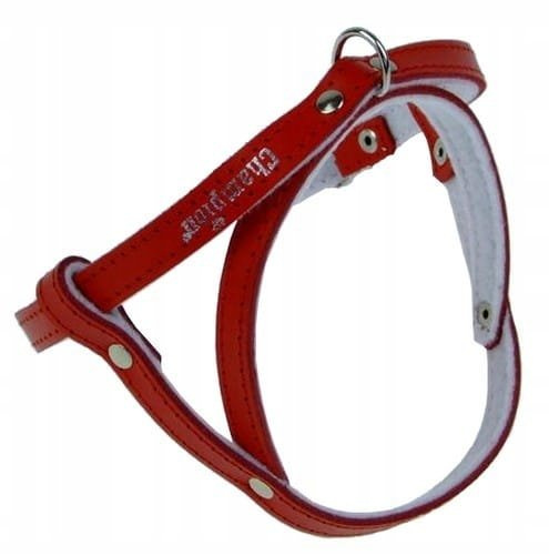 

Champion Szelki 40 czerwone [sd(r)]