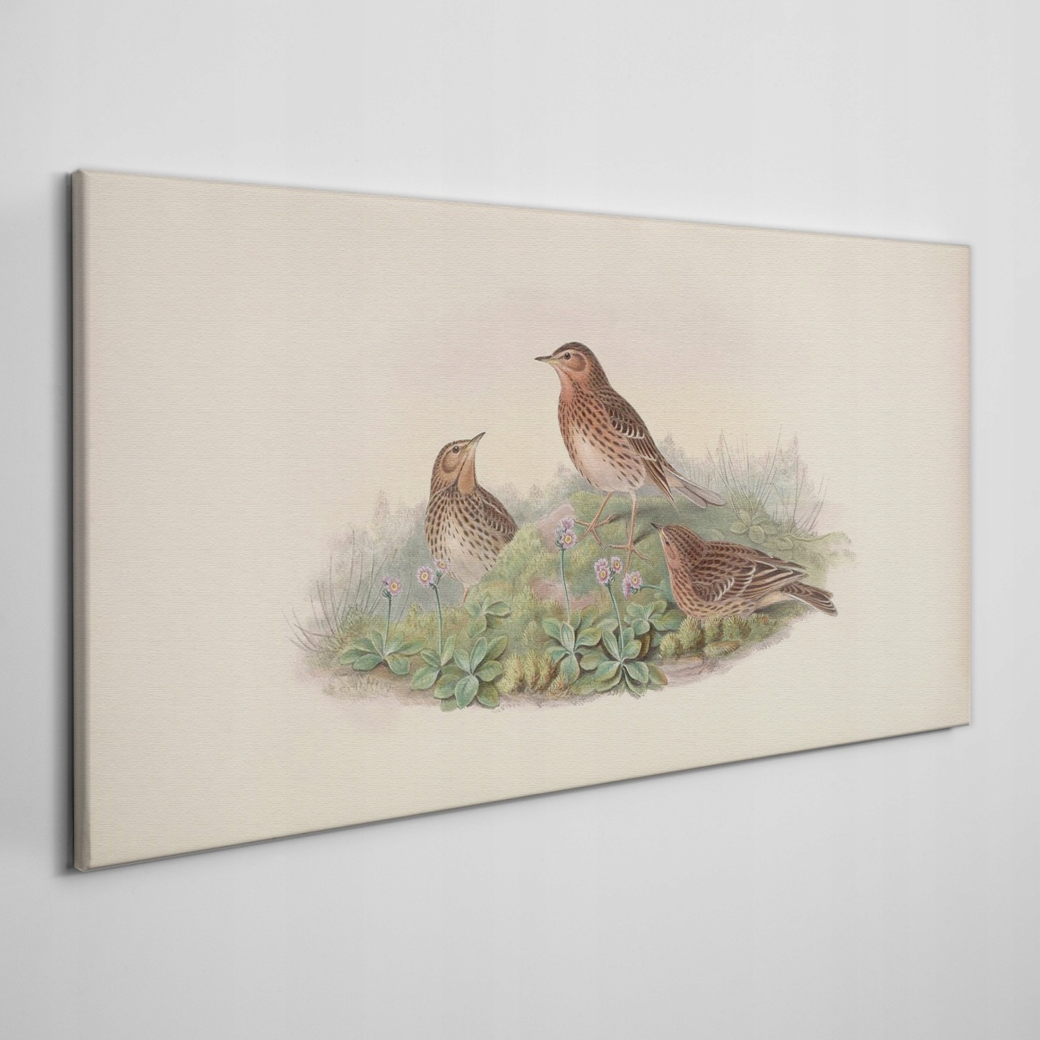 

Obraz na płótnie Ptaki zwierzęta beżowy 100x50 cm