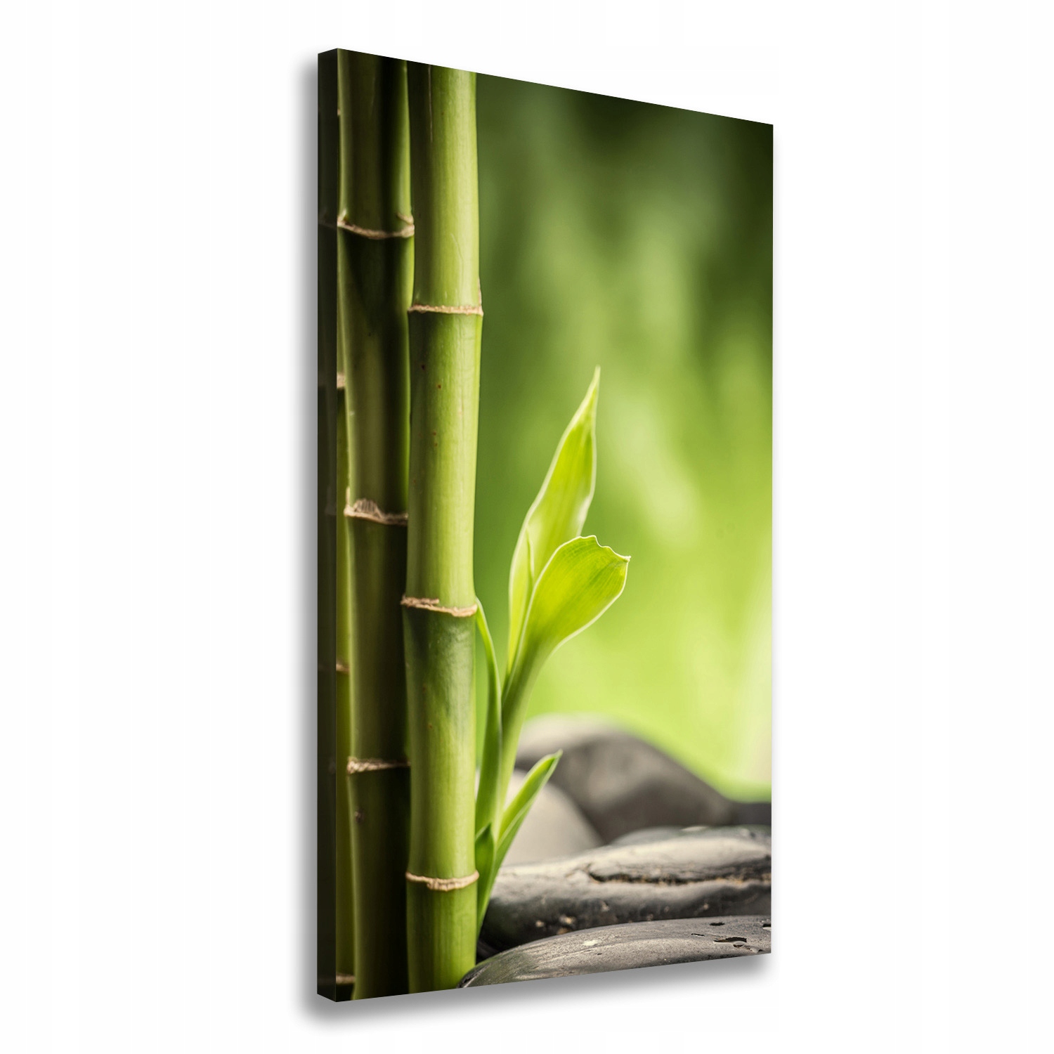 

Nowoczesny fotoobraz canvas na ramie Bambus 50x100