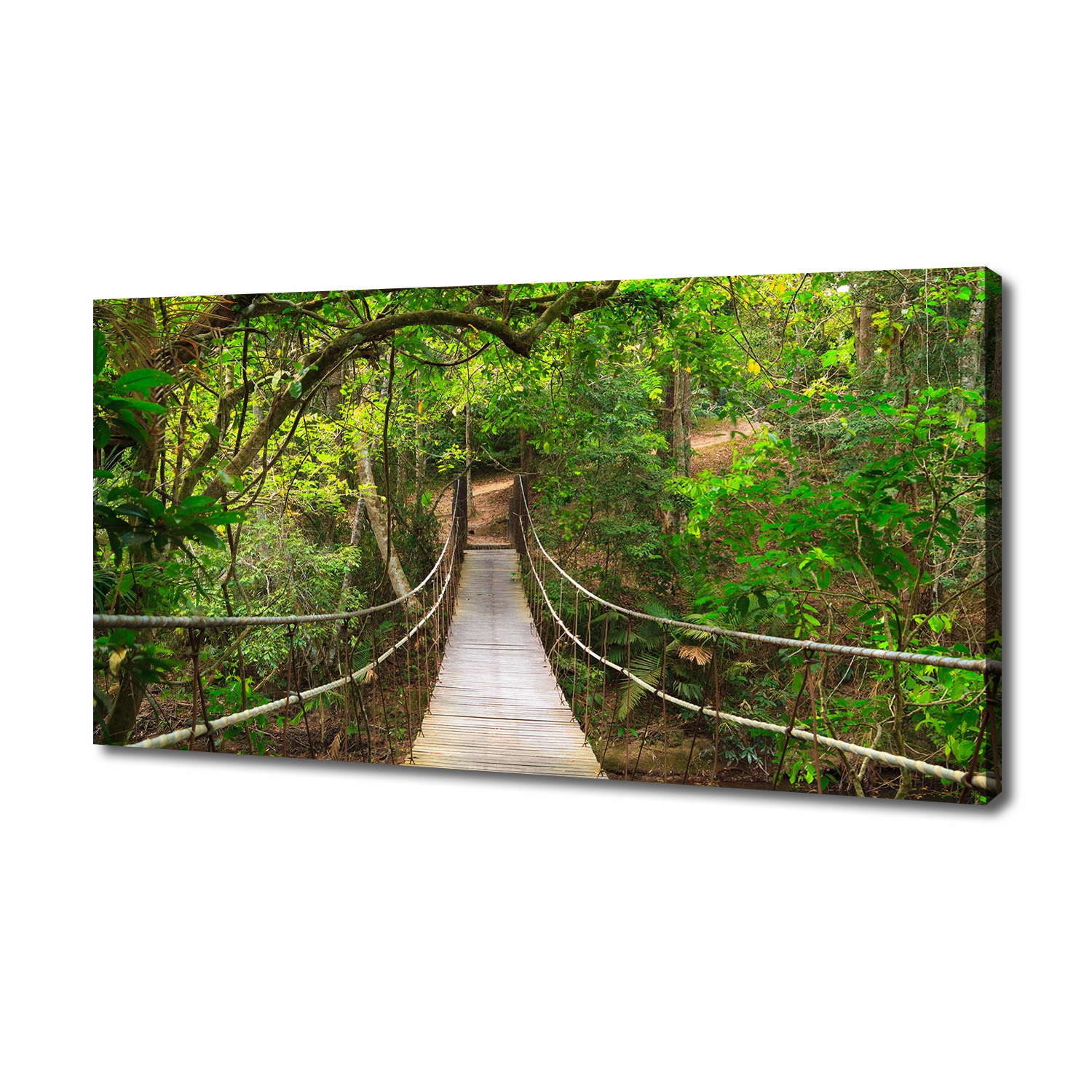 

Foto obraz canvas na ścianę Most linowy 140x70 cm