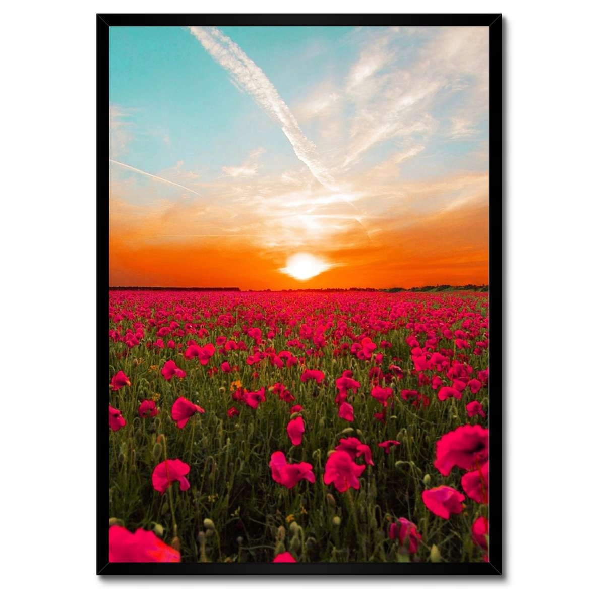 Plakáty v rámu 50x70 Růžové máky Západ slunce