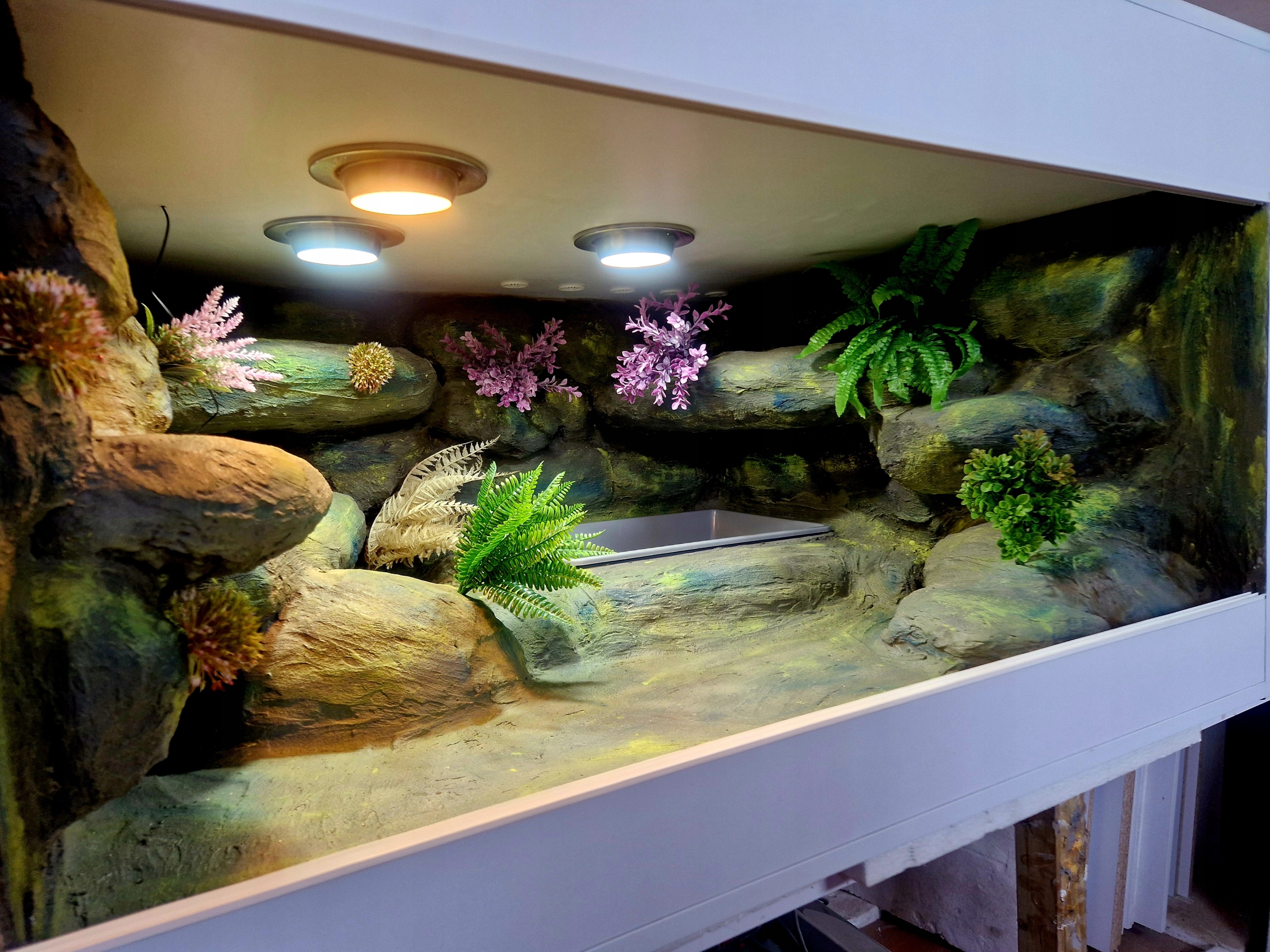 Tropické Terárium Pro Hada 100x50x52 Objednávka Pyton Obilná Hadice Boa