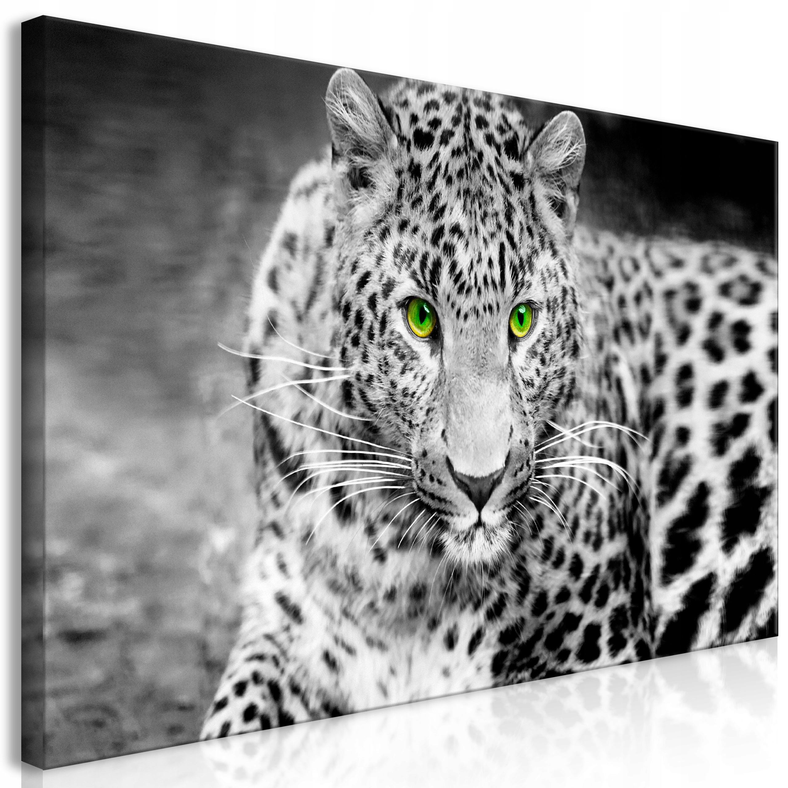Obraz XXL Diy Leopard Velký Do Obývacího Pokoje Jídelny Nástěnná Dekorace 160x80